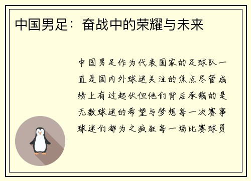 中国男足：奋战中的荣耀与未来