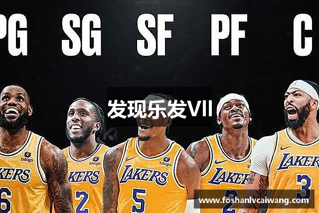 发现乐发Vll